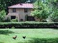 The Villa at Saugerties