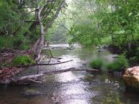 Miracle Farm Bed and Breakfast Spa and Resort: Dreamy River