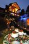An Enchanting Evening