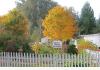 Linville Cottage: Fence