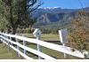 Wild Turkey Ranch: White Picket Fence