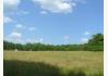 DREAM FIELDS: 77 acres on Mulberry Creek