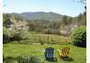 Henson Cove Place B&B w/Cabin: Mountain Pasture View