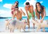 Saint Francis Resort & Marina: swimming pigs