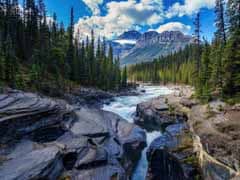Alberta B&B Inns for Sale