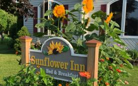 Sunflower Inn: Sign & Sunflowers