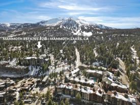 Mammoth Estates 213: Arial View