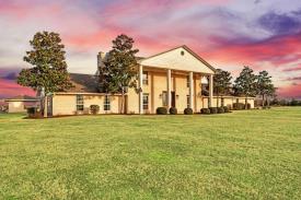 Paris TX Multi-Use Property Auction: 