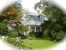 Yellow Turtle Inn: Yellow Turtle Inn