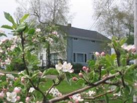 Apple Grove Farm B&B: 