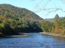 The Cabins in Hope: A view of the river from the lower yard