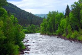 Land & Lodge Coloradoo: Conejos river