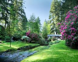 The Lodge on Little Bear Creek: The Lodge