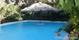 Hotel/Finca Paraiso: pool area
