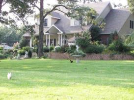Inn at the Pond: 