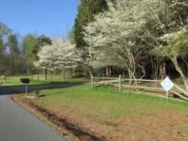 RVA Holly Spring Farm: 