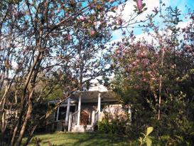 Pancake Hollow Bed and Breakfast: Home sweet home