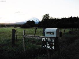 Mt Adams Lodge at the Flying L Ranch: 