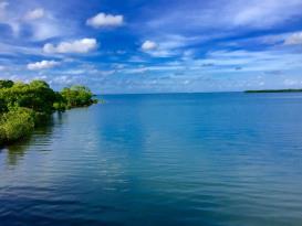 Upachaya Eco-Lodge & Wellness Resort: View from Dock - Man O'War Harbor