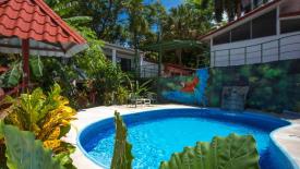 Blue Monkey Hotel - Hotel Mono Azul: Waterfall Pool near Standard rooms