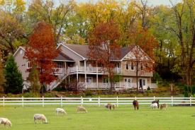 The Speckled Hen Inn Bed and Breakfast: SHI Main