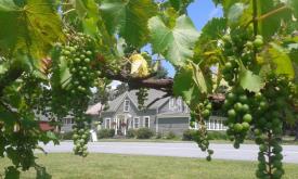Autumn Mountain Winery & Cabins: Main Lodge