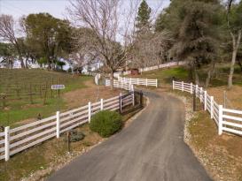 Yearling Trail: 