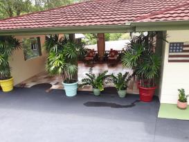 Riverfront B&B Papaikou,Hawaii-30K Price drop !: 
