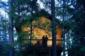 Eureka Sunset Cabins Eureka Springs Ar Inn For Sale