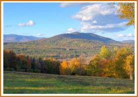 Event and Vacation Rental Business & Real Estate: 