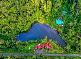 Lucky Bug Bed and Breakfast: Aerial View of Property and Buildings
