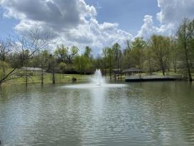 Endless Possibilities on 20 acres -NASHVILLE!: 