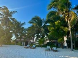 Tulum Beachfront : 