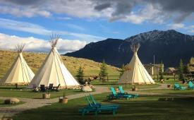Dreamcatcher Tipi Hotel - SOLD!: 