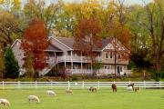The Speckled Hen Inn Bed and Breakfast