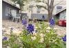 The Lincoln Marfa: BLUEBONNETS