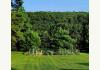 The Pause Bed & Breakfast: Backyard garden