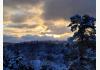 The Pause Bed & Breakfast: Backyard Winter