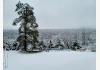The Pause Bed & Breakfast: Backyard Winter
