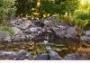 Eagle Rock Lodge: Lawn Pond