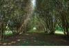Estate: c1834 Manor House - Inn/B&B/Event Venue: 