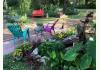 St Francis Cottage LLC: Back Gardens
