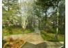 St Francis Cottage LLC: Rainbow over front driveway