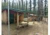 Caribou Cabins: Livestock area with run-in barn