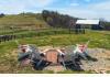 Canted Queen Farm: 