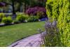 Greenlake Guest House: outside 5