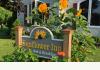Sunflower Inn: Sign & Sunflowers