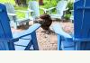 Bayfield Boutique Bed and Breakfast: 
