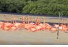 Botique Beach Hotel in Mexico: Flamingo Tours to the Biosphere