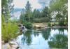 Starry Nights Bed and Breakfast: POND